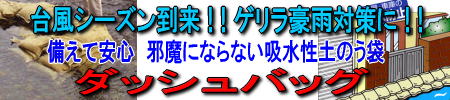 �z���y�̂��܁@�_�b�V���o�b�O