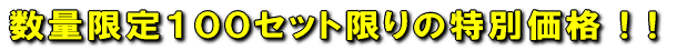 ���ʌ���P�O�O�Z�b�g����̓��ʉ��i ! ! 